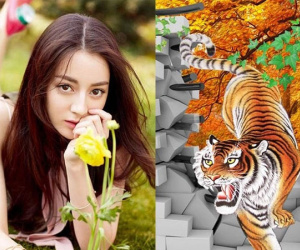 Tử vi tuổi Dần tháng 6/2024: Hung cát tương tề, tập trung hoàn thiện bản thân