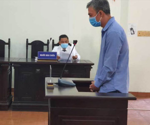 Sắp xét xử vụ bé gái bị người tình của mẹ bạo hành 4 năm trước