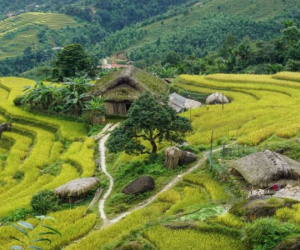 Khuổi My - 'Trạm dừng bình yên' bên dãy Tây Côn Lĩnh