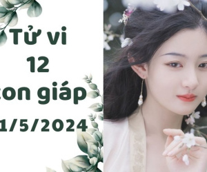 Tử vi thứ 6 ngày 31/5/2024 của 12 con giáp: Ngọ thăng tiến, Dậu gặp tiểu nhân