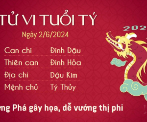 Tử vi chủ nhật ngày 2/6/2024 của 12 con giáp: Tý thị phi, Sửu cởi mở