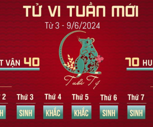 Tử vi tuần mới từ 3 - 9/6/2024 của 12 con giáp: Tý ngột ngạt, Hợi suôn sẻ