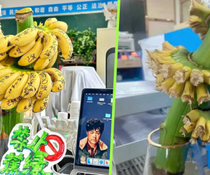 Trồng cả buồng chuối trên bàn làm việc ở văn phòng để chống căng thẳng