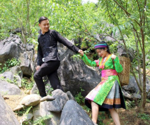 Loại quả màu rực rỡ trong hốc đá, sơn nữ mang gùi đi hái khiến du khách ngẩn ngơ