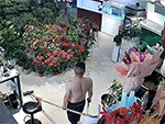 Cá Hải tượng long đắt giá bất ngờ nhảy ra khỏi bể rồi chết thảm khiến chủ nhân xót xa