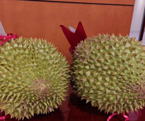 Giá sầu riêng biến động mạnh hơn thị trường chứng khoán