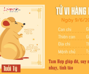 Tử vi Chủ nhật ngày 9/6/2024 của 12 con giáp: Tý nhanh nhạy, Sửu nóng nảy