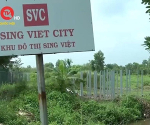 Bà Trương Mỹ Lan thâu tóm dự án khu đô thị 331 ha ngoại ô TPHCM ra sao?