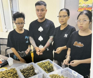 Khám phá ổ nhóm mua bán trái phép ma tuý, thu 10kg cần sa