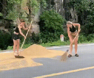 Hình ảnh khiến nhiều người thích thú, khách Tây giúp bà con cào thóc chạy mưa, thao tác chuyên nghiệp không kém người Việt