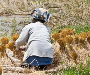 68 tuổi, tôi sống hạnh phúc bên 3 cô con gái xinh đẹp, tài giỏi khiến chồng cũ và gia đình chồng hối hận vì xưa ‘trọng nam khinh nữ'