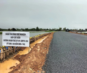 Nghi lúa chết do dùng cát biển làm cao tốc, Bộ GTVT lên tiếng