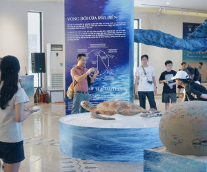 Lạc vào 'xứ sở' rùa biển gốm giữa Hà Nội: Đằng sau khung cảnh biển cực 'ảo' là ý nghĩa vô cùng đặc biệt mà ai cũng nên biết
