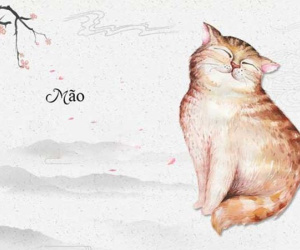 Tử vi 12 con giáp hôm nay - thứ 3 ngày 18/06/2024: Mão tài lộc nở hoa, Thìn công danh cực đẹp