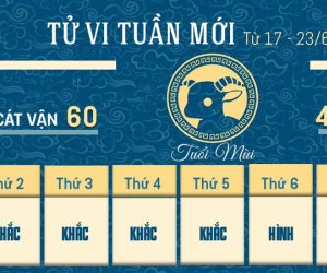 Tử vi tuần mới của 12 con giáp từ 17 - 23/6/2024: Sửu chủ động, Mùi vượng đào hoa