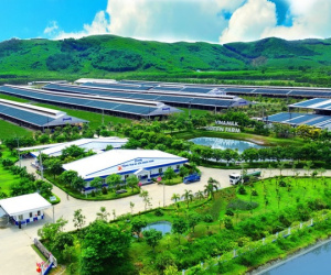 Hệ sinh thái Net Zero đã vượt ra khỏi những trang trại xanh của Vinamilk