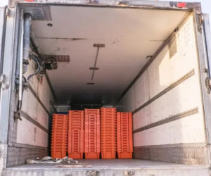 Vụ 8 người tử vong trong container đông lạnh: Hé lộ về khoảnh khắc nghẹt thở vì tuyệt vọng trong 'chiếc tủ lạnh lớn' của các nạn nhân