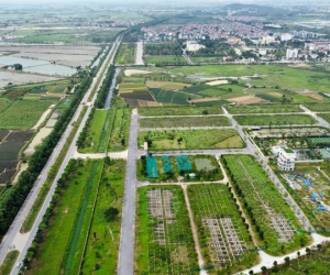 Đất nền ven Hà Nội tấp nập lên sàn đấu giá, khởi điểm từ 14,1 triệu đồng/m2