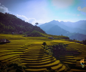 Say đắm lòng người với vẻ đẹp thiên nhiên Xà Phìn