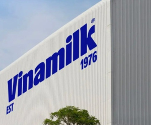 Vinamilk - Doanh nghiệp duy nhất của ngành sữa Việt Nam trong danh sách Fortune 500 Đông Nam Á