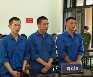 Những vụ án mạng đau lòng do bia, rượu