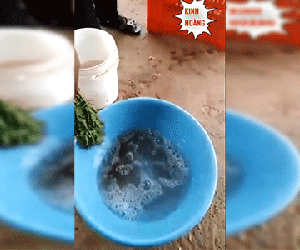 Xôn xao clip mớ rau héo quắt bỗng xanh tươi mơn mởn sau khi nhúng vào chậu dung dịch lạ, dân mạng hoang mang