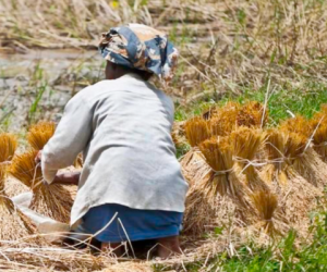 Tôi 62 tuổi, giờ hối hận: Lấy chồng như đánh canh bạc, sống khổ đến gần hết đời, giờ chỉ biết dựa vào con