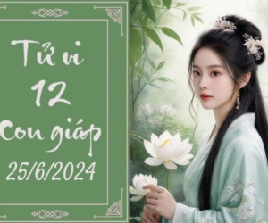 Tử vi 12 con giáp hôm nay - thứ 3 ngày 25/06/2024: Mão có lộc, Ngọ may mắn