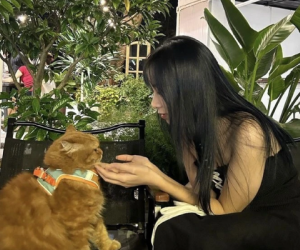 Nhân viên nghỉ việc quay lại 'phốt' trung tâm Anh ngữ vấn đề lương: Fanpage bị phẫn nộ, quản lý phản hồi thế nào?