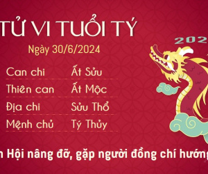 Tử vi chủ nhật ngày 30/6/2024 của 12 con giáp: Dậu chủ động, Mùi tranh cãi