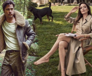 Brad Pitt và Angelina Jolie sau 8 năm ly hôn: Kẻ bị con ruột lạnh lùng quay lưng, người hạnh phúc nhận tình yêu con trẻ