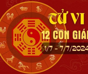 Tử vi tuần mới từ 1 - 7/7/2024 của 12 con giáp: Tị hanh thông, Sửu đau đầu vì tiền