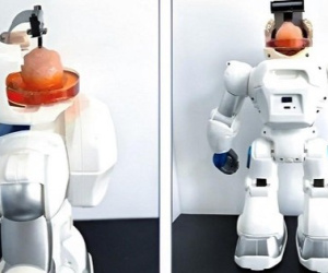 Các nhà khoa học tạo ra robot có bộ não con người