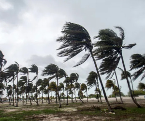 Các quốc đảo ở Caribe chịu hậu quả nặng nề sau khi bị bão Beryl càn quét