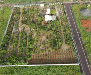 Bắt giữ đại gia 'nổi tiếng nhất huyện' vì liên quan cá độ bóng đá