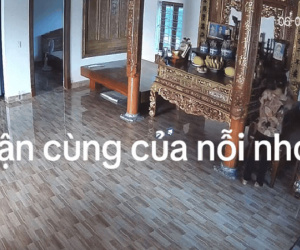 Tâm sự của người con xa nhà khi chứng kiến mẹ một mình quanh quẩn trước ban thờ khiến dân mạng rưng rưng nước mắt