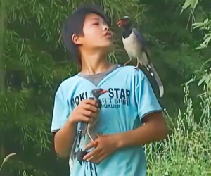 Cậu bé có thể ra lệnh cho chim làm mọi việc: Chuyên gia cũng bất ngờ