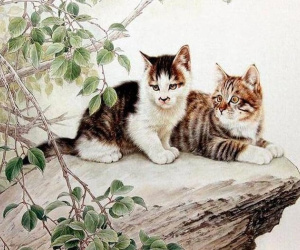 Sang tuần mới (15-21/7), có 4 con giáp được Thần Tài ưu ái, tiền về chật ví, sự nghiệp 'lên hương'