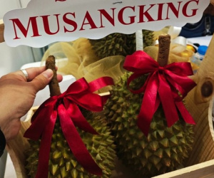 Sầu riêng Musang King rớt giá thê thảm