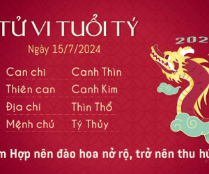 Tử vi thứ 2 ngày 15/7/2024 của 12 con giáp: Thân tức giận, Tý đào hoa