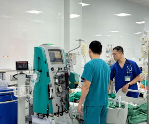 Bé gái 13 tuổi ở Hà Nội nguy kịch, phải thở máy chỉ vì một vết ong đốt ở mi mắt