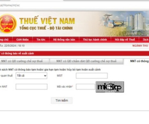 Làm thế nào để tra cứu nợ thuế, cấm xuất cảnh?