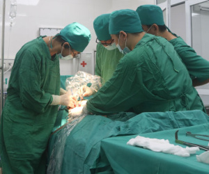 Đưa con gái đi cấp cứu trong tình trạng nguy kịch