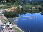 Ba đứa trẻ suýt chết đuối khi trươt chân xuống ao nước gần nhà