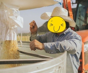 Con trai tỷ phú chỉ tặng tạp dề khi vợ muốn vé máy bay đi Hy Lạp đang gây tranh cãi là ai?