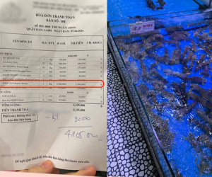 1kg tôm tít giá 2,5 triệu đồng tại một nhà hàng ở Đà Nẵng gây tranh cãi: Người chê đắt, người bảo hợp lý, nhà hàng giải thích ra sao?