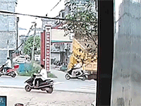 Quên hạ ben, xe tải gây đâm sập cổng làng khiến tài xế tử vong
