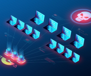 Microsoft xác nhận bị tấn công DDoS