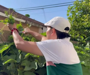 Một nam NSƯT tại Mỹ tự trồng rau ăn, hé lộ buôn bán khó khăn nên hay đi ăn chực