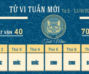 Tử vi tuần mới của 12 con giáp từ 5 - 11/8/2024: Mão gặp sự cố, Dậu bình ổn